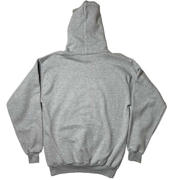 Disneyland Resort {Hanes} Graphic Pullover Hoodie Sweatshirt Grey Unisex M - Picture 2 of 8
